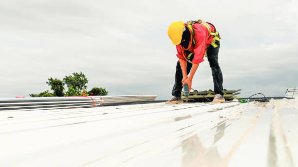 Best 4 Ply Roofing  in Christopher, IL