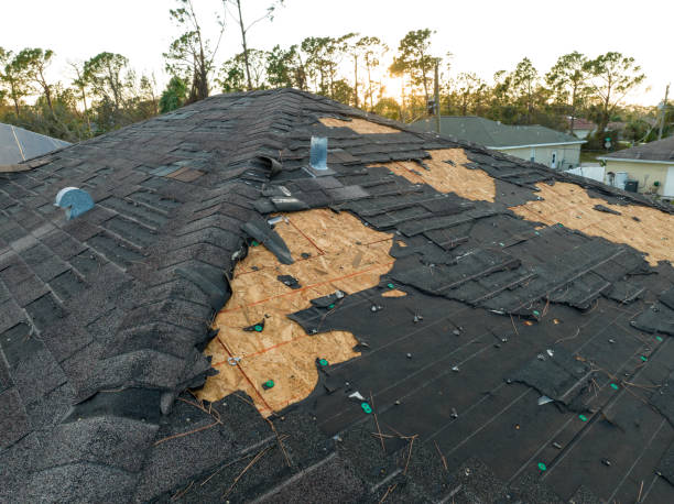 Best Roof Replacement  in Christopher, IL