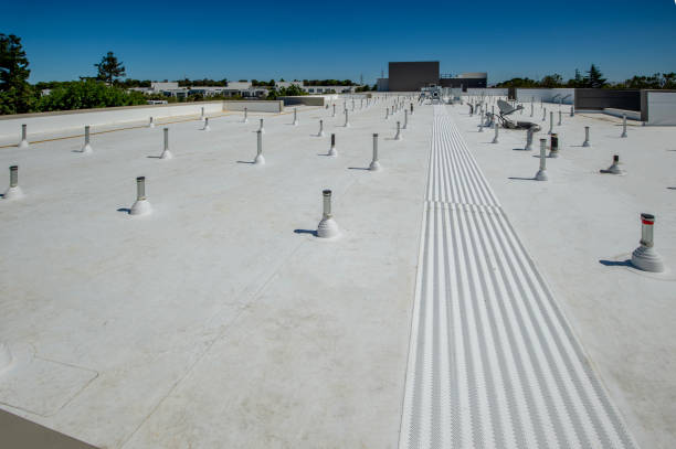 Best Rubber Roofing (EPDM, TPO)  in Christopher, IL